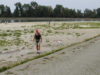 Nur die Hlfte des Flussbettes gefllt: Niedrigwasser am Rhein bei Au im Jahr 2003