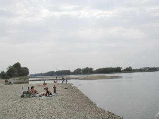 Blick Richtung Sden: Niedrigwasser am Rhein bei Au im Jahr 2003