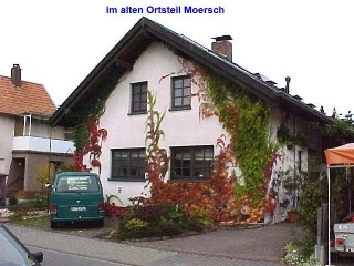 Herbst in Rheinstetten-Mrsch