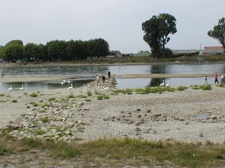 Niedrigwasser am Rhein bei Au im Jahr 2003