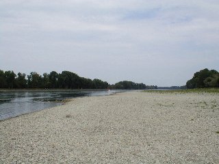 Blick Richtung Norden: Niedrigwasser am Rhein bei Au im Jahr 2003