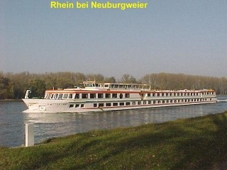 Der Rhein bei Neuburgweier