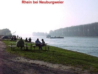 Besuch am Rhein bei Neuburgweier